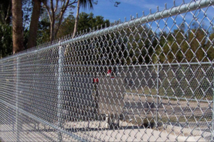 Chain Link Fencing Mesh