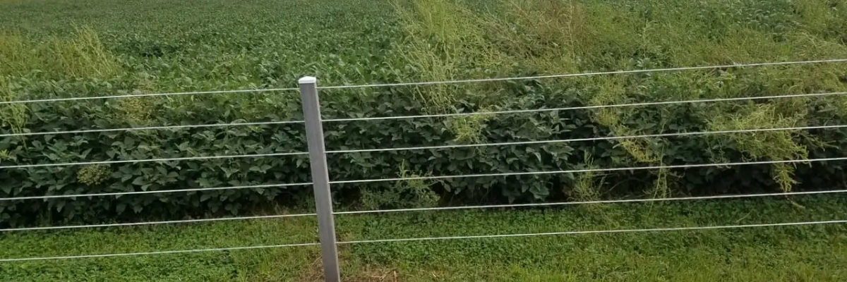 Help Section Background